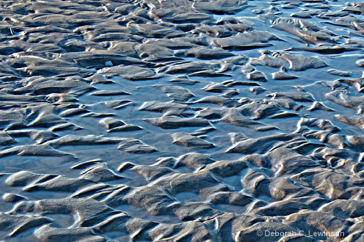 Tidal Pools 1 - ID: 11632350 © Deborah C. Lewinson