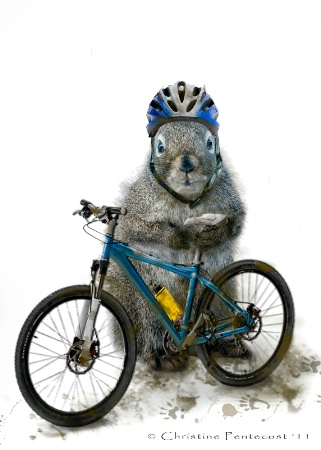 "Mountain Biker"