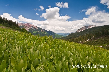  Crested-Butte, CO