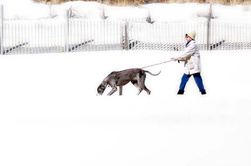 Winter Walk With A Friend