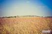 Wichita Mountains