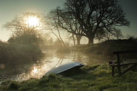 Misty Morning Pool