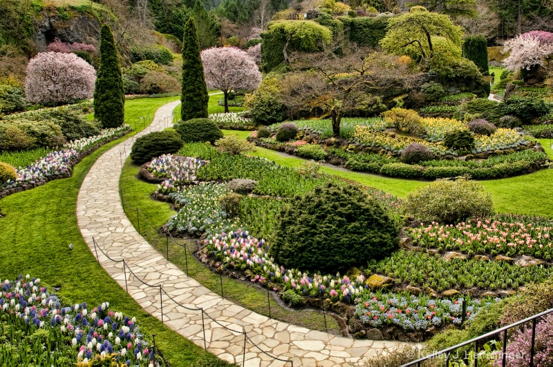 Sunken Garden - ID: 11646029 © Kelley J. Heffelfinger