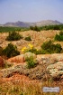 Wichita Mountains