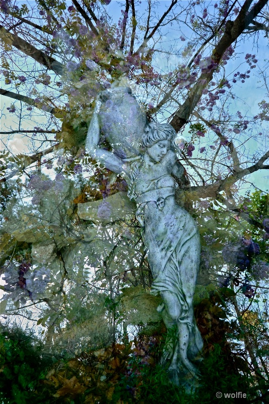 img2
