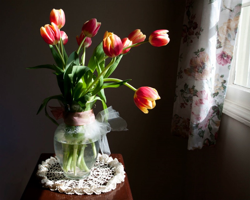 Tulips In Natural Light