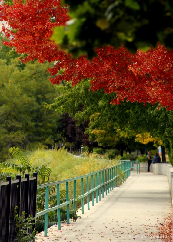 Pleasant Walk - ID: 11652225 © Sheri Camarda