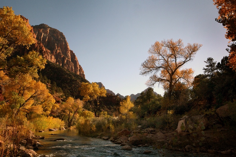 Zion in its Glory