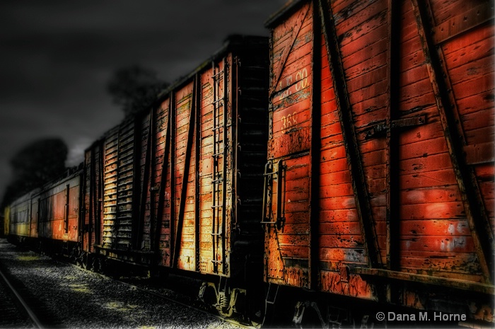 Welcome to creativeimagesbydanahorne.com
