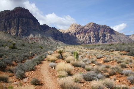  Afternoon Hike