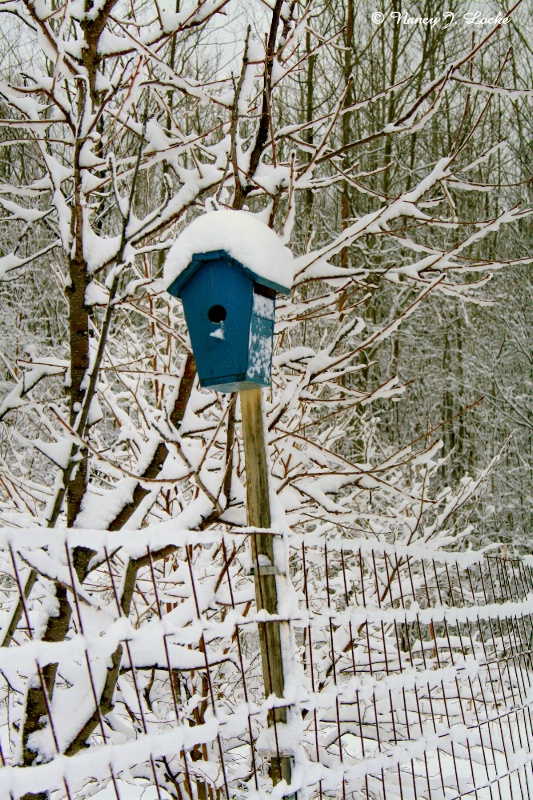 Late April Snow