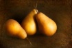 ~Golden Pears~