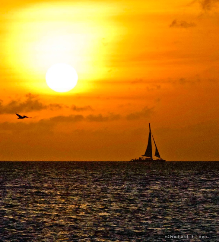 Sailing at sunset in Aruba with pelican