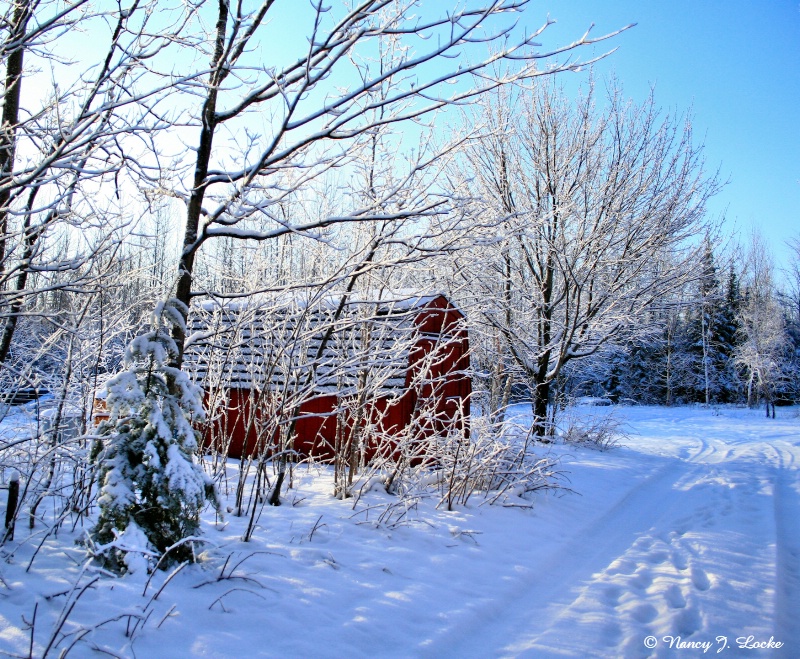 A Beautiful Morning