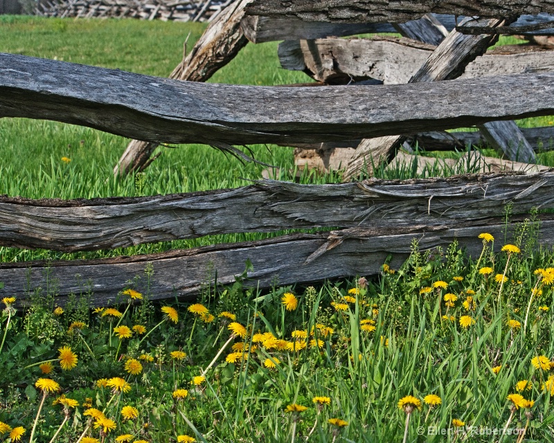 img20
