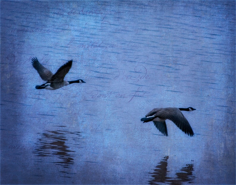 img9