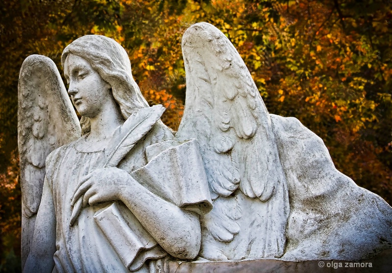 Autumn Angel - ID: 11675961 © Olga Zamora