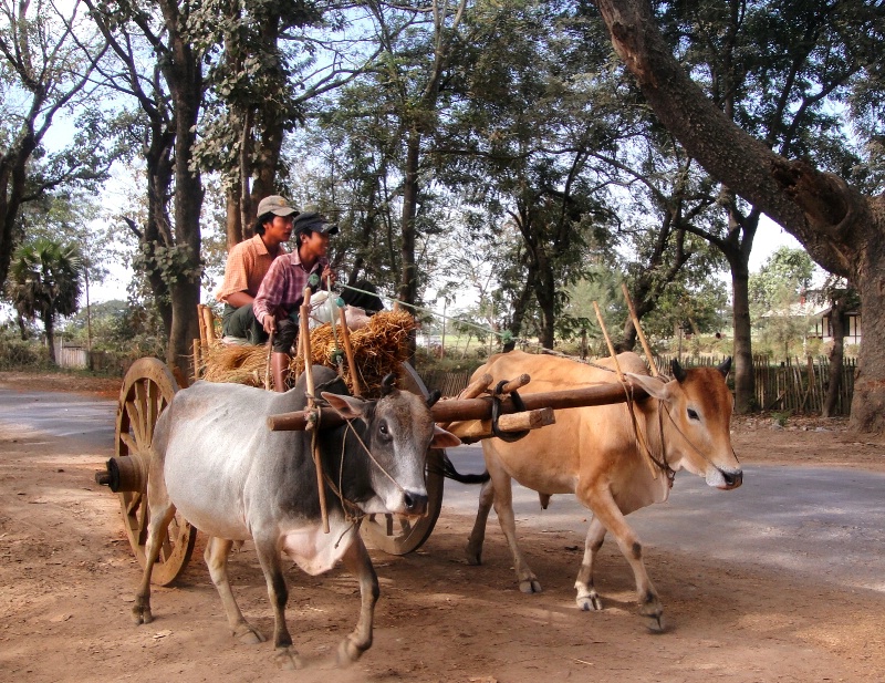 Enjoyrable Transport