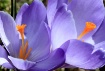 Spring 2011