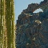 © Deb. Hayes Zimmerman PhotoID# 11681790: Saguaro and the Arches