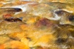 Rushing River