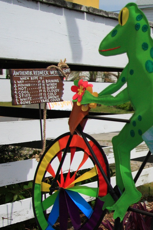 Ocracoke Island weather forecaster