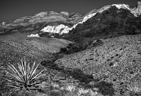 Red Rock Canyon