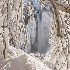 A Curtain of Frosted Trees - ID: 11685294 © Deb. Hayes Zimmerman