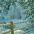 Lil Spearfish Falls with Sunlit Fence - ID: 11685360 © Deb. Hayes Zimmerman