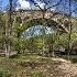 © Elliot Barnathan PhotoID# 11688874: Wissahickon in Spring 1