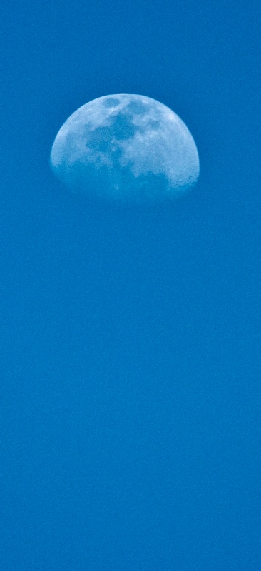 Moon Over Malabar
