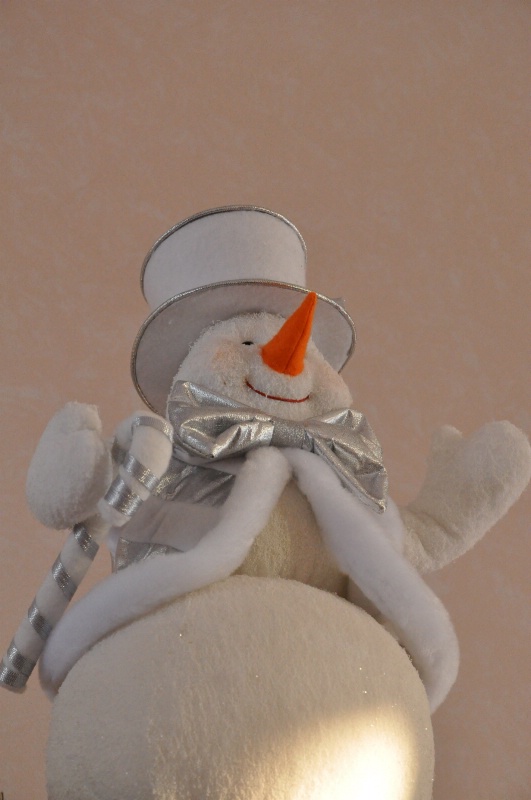 Mr. Snow Man - ID: 11689762 © John D. Roach