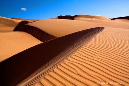 Patterns in the Sand