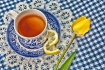 Morning Tea