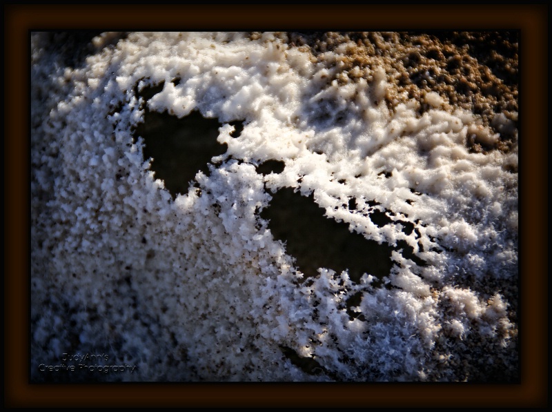 Delicate Lacey Salt Crystals  - ID: 11695434 © JudyAnn Rector