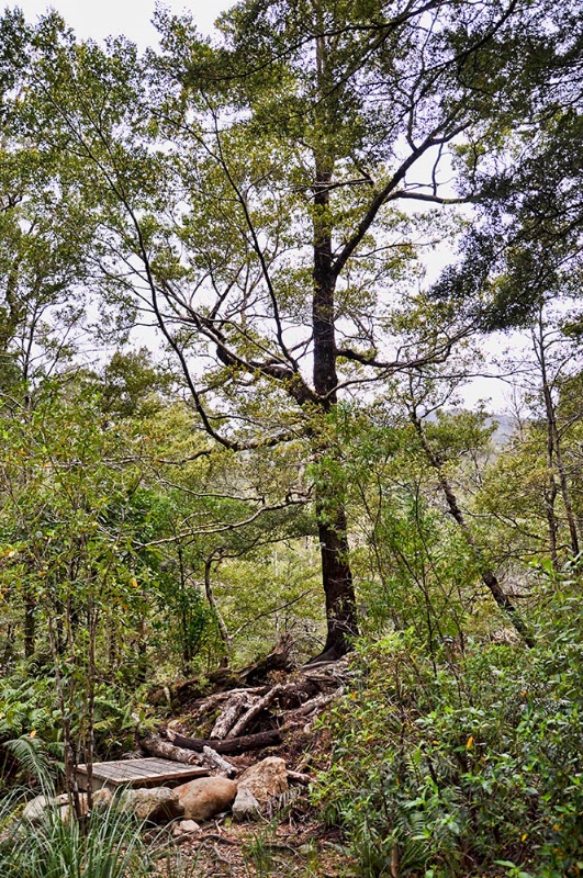 Rivendell - ID: 11696404 © Paul Coco
