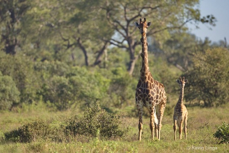 mother-and-daughter