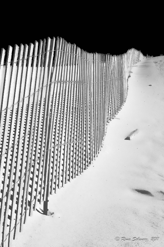 Dune Fence-Infrared