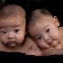 © Anne M. Young PhotoID # 11706548: Lean on me......