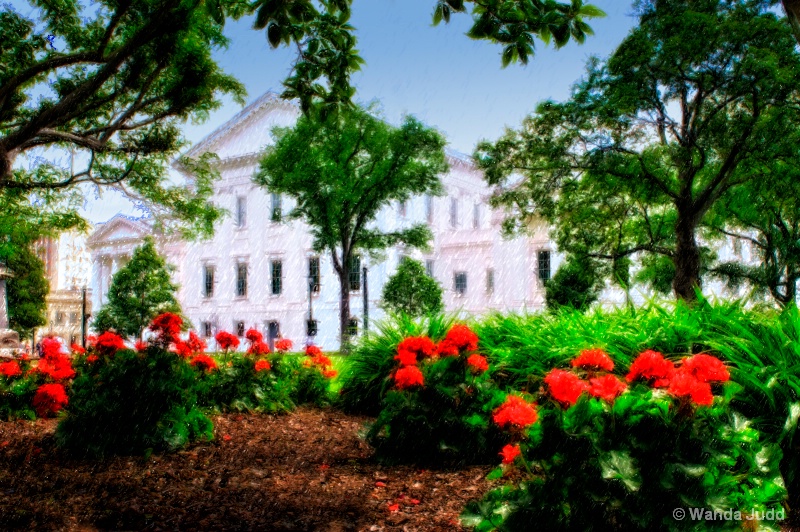 Capitol Mums - ID: 11711584 © Wanda Judd