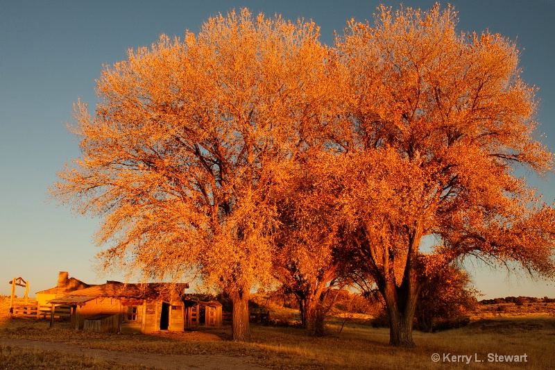 Evening Glow - ID: 11711673 © Kerry L. Stewart