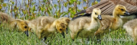 Hanging out with Mom