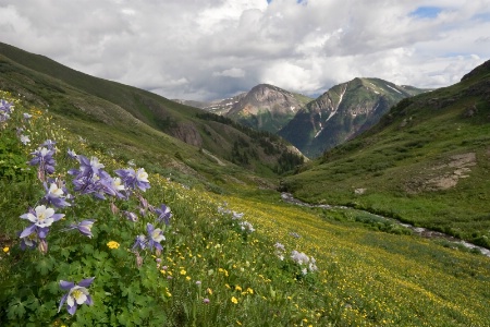 San Juan Mountain View