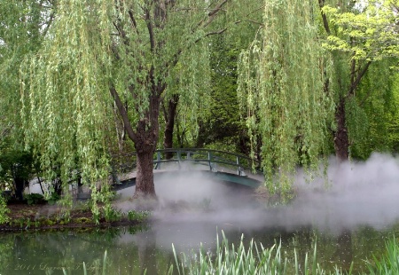 The Monet Bridge