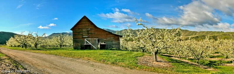 Monitor Barn Panorama