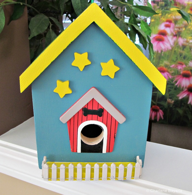a dog house picket fence  and stars  007