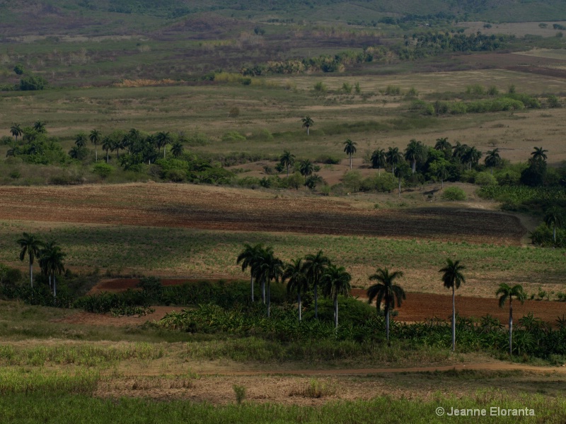 Vista: Valley of the Sugar Cane