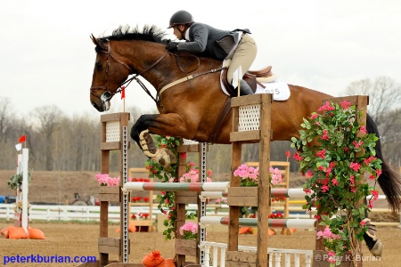 Equestrian competition.