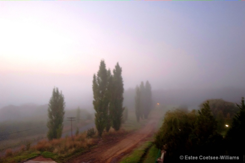 Misty Morning