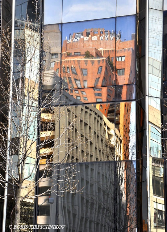 New York  City Reflections_121